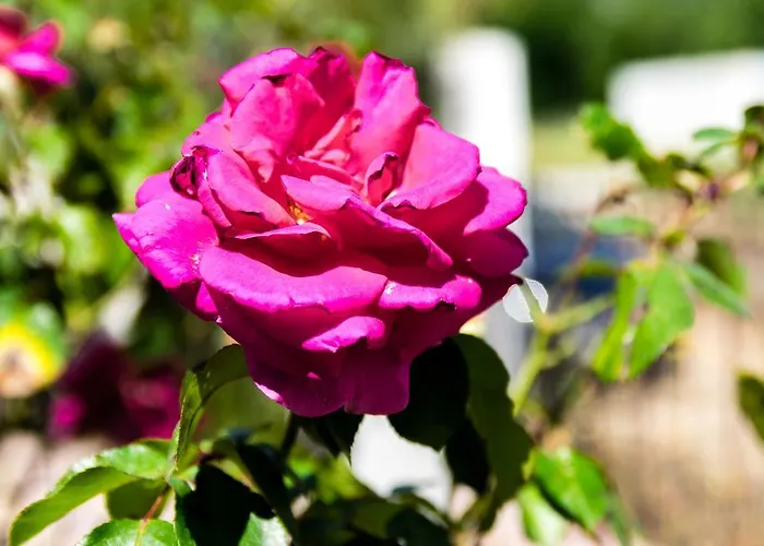 Daire Sea Skala Potamia (Thasos)